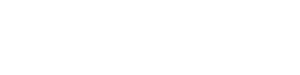 Salutem logo